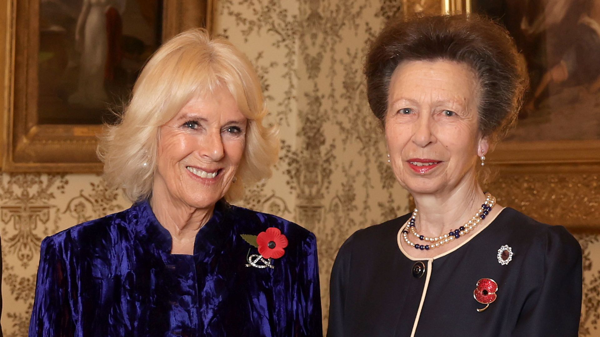 Princess Anne's rare comments about Queen Camilla revealed | HELLO!